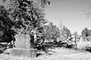 %_tempFileNameJamie%20Farries_872233_assignsubmission_file_03Ass8BW%