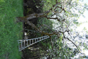 %_tempFileNameMegan%20Hiner_872251_assignsubmission_file_Orchard%201%