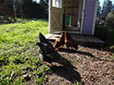 %_tempFileNameMegan%20Hiner_823585_assignsubmission_file_Slow%20shutter%20speed%
