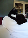 %_tempFileNameMegan%20Hiner_823585_assignsubmission_file_Small%20aperture%