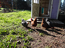 %_tempFileNameMegan%20Hiner_823585_assignsubmission_file_fast%20shutter%20speed%