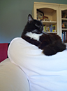 %_tempFileNameMegan%20Hiner_823585_assignsubmission_file_large%20aperture%