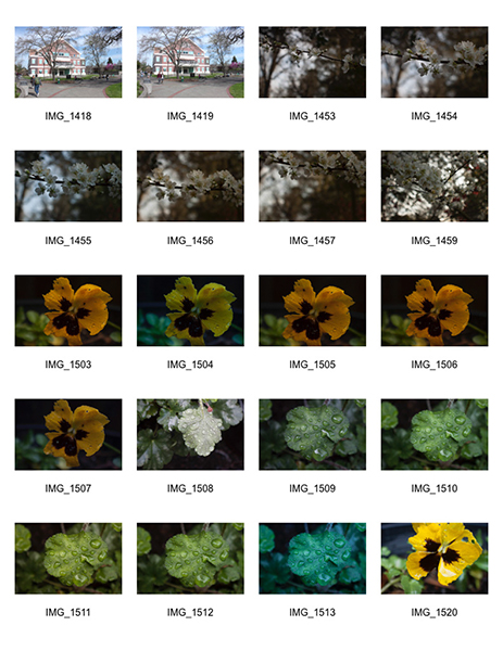 %_tempFileNameAly%20Alvarez_1001422_assignsubmission_file_Contact%20Sheet-2%