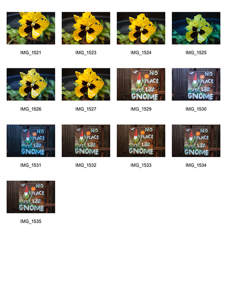 %_tempFileNameAly%20Alvarez_1001422_assignsubmission_file_Contact%20Sheet-3%