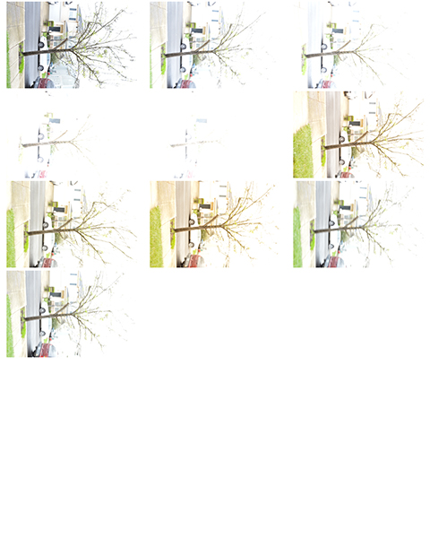 %_tempFileNameAnabel%20Delgado%20Serrano_1001425_assignsubmission_file_ContactSheet-002%