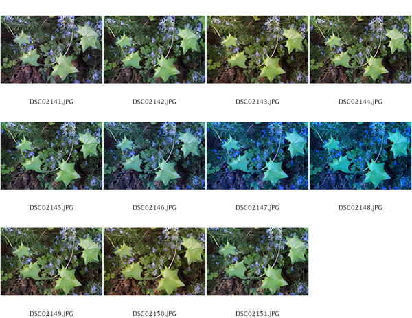 %_tempFileNameAshley%20VanBezooyen_1001438_assignsubmission_file_ContactSheet-001%