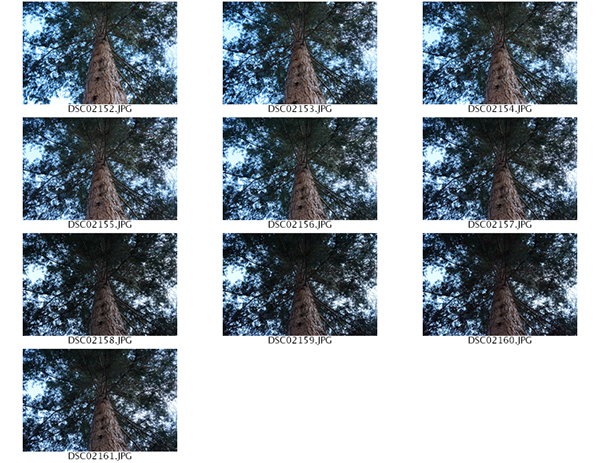 %_tempFileNameAshley%20VanBezooyen_1001438_assignsubmission_file_ContactSheet-003%