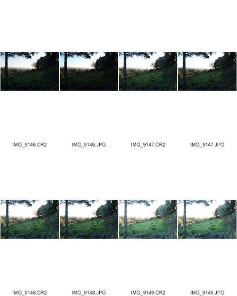 %_tempFileNameCraig%20Thomas_1001427_assignsubmission_file_ContactSheet-006%