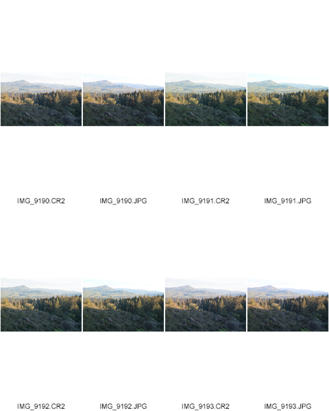 %_tempFileNameCraig%20Thomas_1001427_assignsubmission_file_ContactSheet-017%