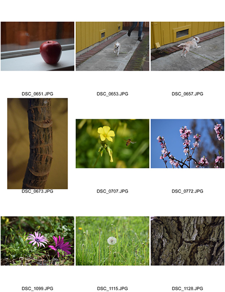 %_tempFileNameCynthia%20Carrillo_1001444_assignsubmission_file_ContactSheet-001%