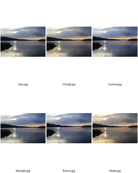 %_tempFileNameDori%20Maggart_1001424_assignsubmission_file_DmaggartContact3%