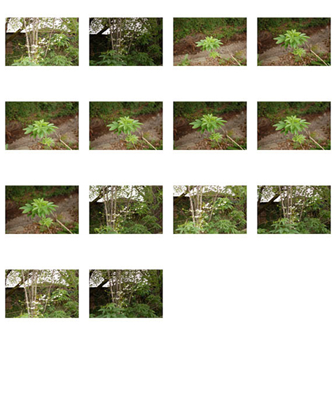 %_tempFileNameJolie%20Andritzakis_1001431_assignsubmission_file_Contact%20Sheet%20Assignment%203%