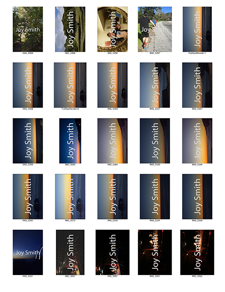 %_tempFileNameJoy%20Smith_1001436_assignsubmission_file_catelog-1%