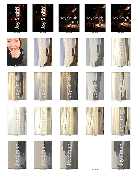 %_tempFileNameJoy%20Smith_1001436_assignsubmission_file_catelog-2%