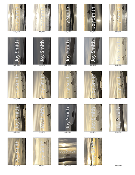 %_tempFileNameJoy%20Smith_1001436_assignsubmission_file_catelog-4%