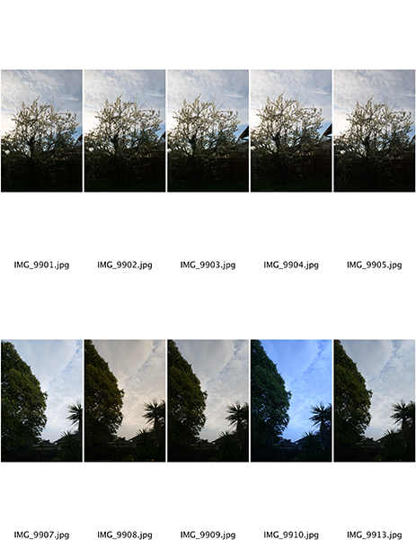 %_tempFileNameLauren%20Lacoste_1001441_assignsubmission_file_ContactSheetWB%