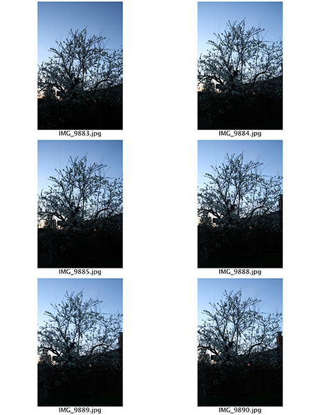 %_tempFileNameLauren%20Lacoste_1001441_assignsubmission_file_ContactSheetbrcket%