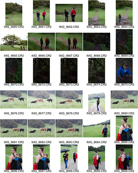 %_tempFileNameRebecca%20Kelley_1001429_assignsubmission_file_Contact%201%