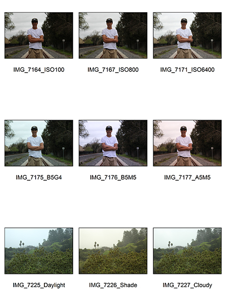 %_tempFileNameStephanie%20Greenspan_1001434_assignsubmission_file_ContactSheetThree%