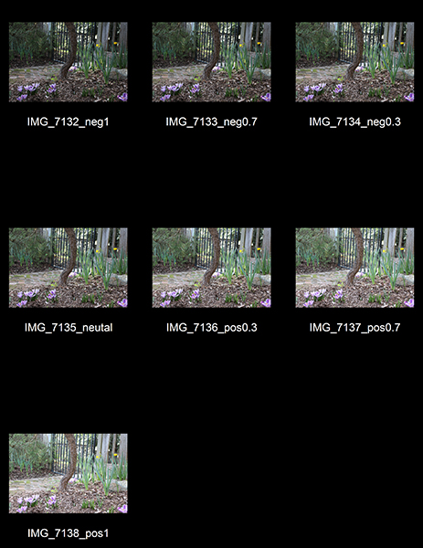 %_tempFileNameStephanie%20Greenspan_1001434_assignsubmission_file_ContactSheetTwo%