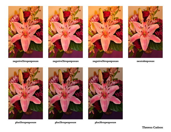 %_tempFileNameTheresa%20Carlson_1001426_assignsubmission_file_Contactsheet1%