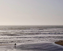 %_tempFileNameJoy%20Smith_1020365_assignsubmission_file_FullSizeRender%20(1)%