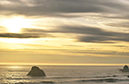 %_tempFileNameJoy%20Smith_1020365_assignsubmission_file_FullSizeRender%20(14)%
