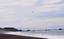 %_tempFileNameJoy%20Smith_1020365_assignsubmission_file_FullSizeRender%20(3)%