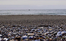 %_tempFileNameJoy%20Smith_1020365_assignsubmission_file_FullSizeRender%20(4)%