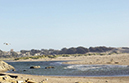%_tempFileNameJoy%20Smith_1020365_assignsubmission_file_FullSizeRender%20(5)%