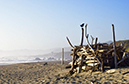 %_tempFileNameJoy%20Smith_1020365_assignsubmission_file_FullSizeRender%20(6)%
