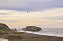 %_tempFileNameJoy%20Smith_1020365_assignsubmission_file_FullSizeRender%20(9)%