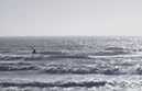 %_tempFileNameJoy%20Smith_1020365_assignsubmission_file_FullSizeRender%