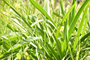 %_tempFileNameCynthia%20Carrillo_1000000_assignsubmission_file_DSC_1143%