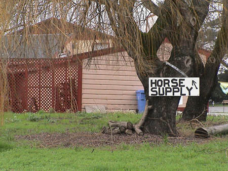horsesupply
