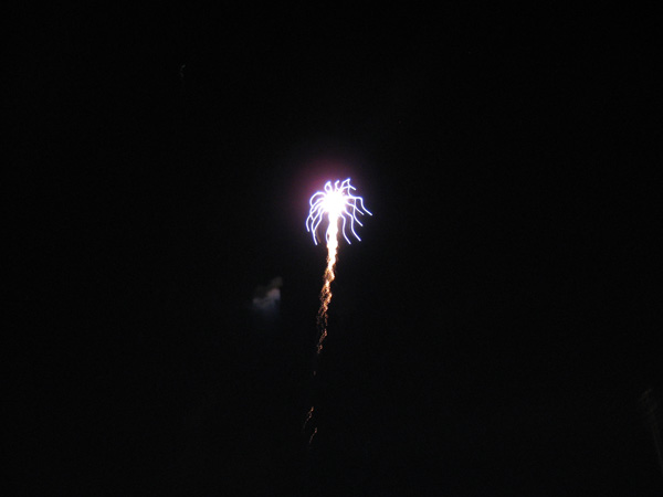 IMG_1334