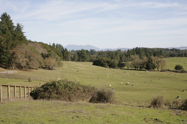 _MG_0624