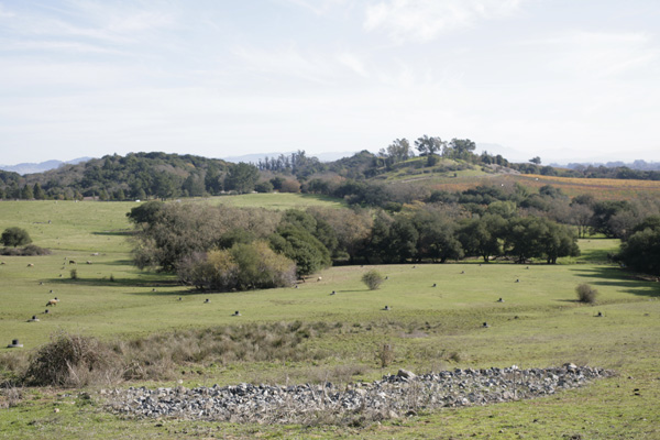 _MG_0626