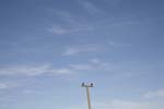 _MG_0619