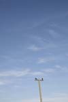 _MG_0620