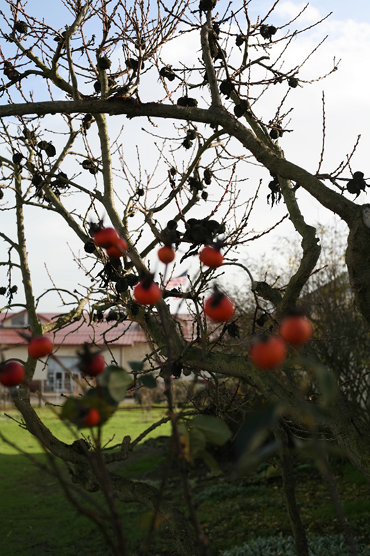 %_tempFileNameIMG_6024%