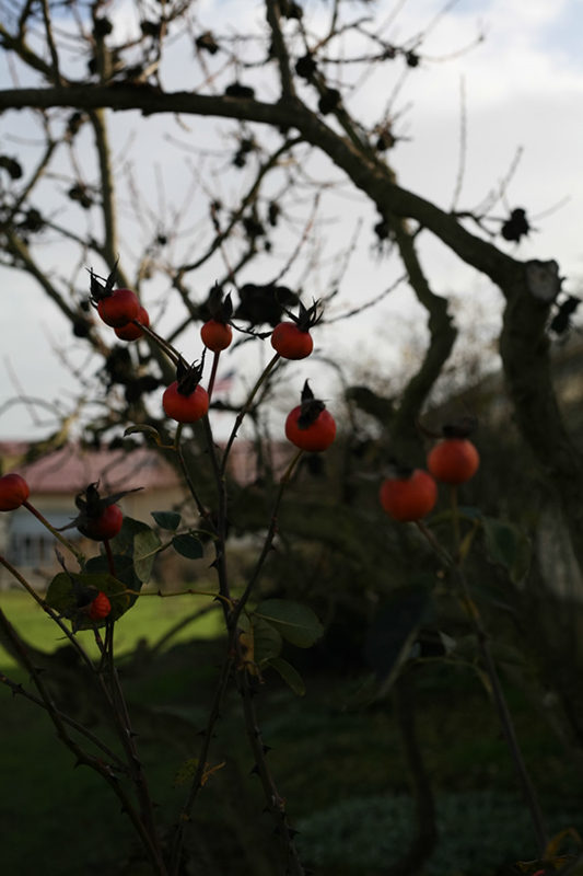 %_tempFileNameIMG_6026%