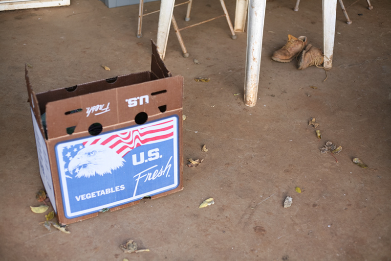 %_tempFileNameIMG_6029%