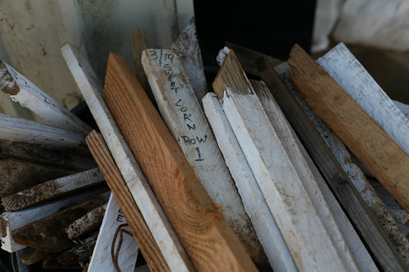 %_tempFileNameIMG_6031%