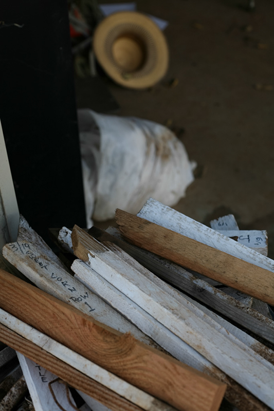 %_tempFileNameIMG_6032%