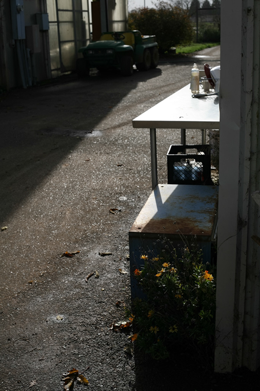 %_tempFileNameIMG_6033%