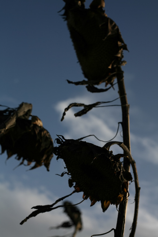 %_tempFileNameIMG_6038%