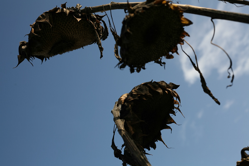 %_tempFileNameIMG_6039%