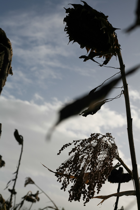 %_tempFileNameIMG_6042%