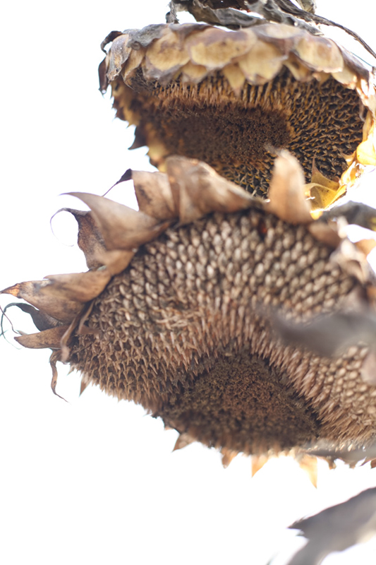 %_tempFileNameIMG_6046%